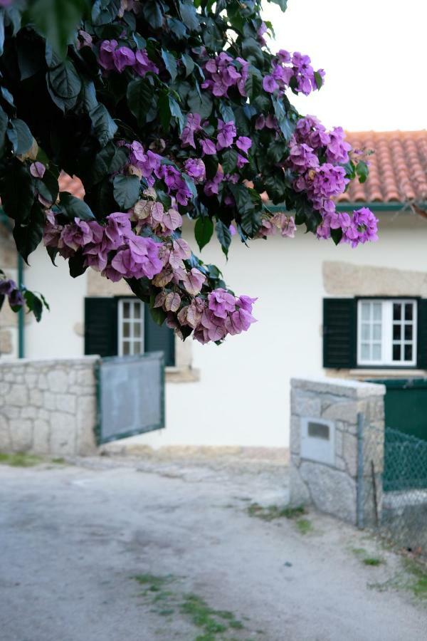 Casa Velha Villa Paradamonte Buitenkant foto