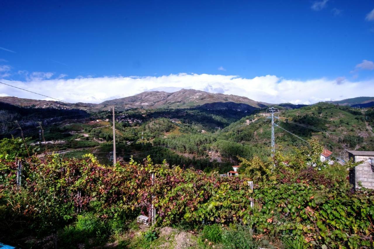 Casa Velha Villa Paradamonte Buitenkant foto